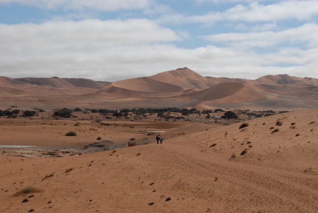 de mooie roden woestijnen in Nambië, de rode duinen van sossusvlei